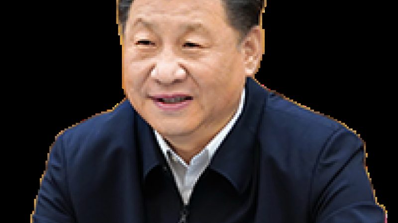 无机化工原料：揭秘其参数与材质说明**